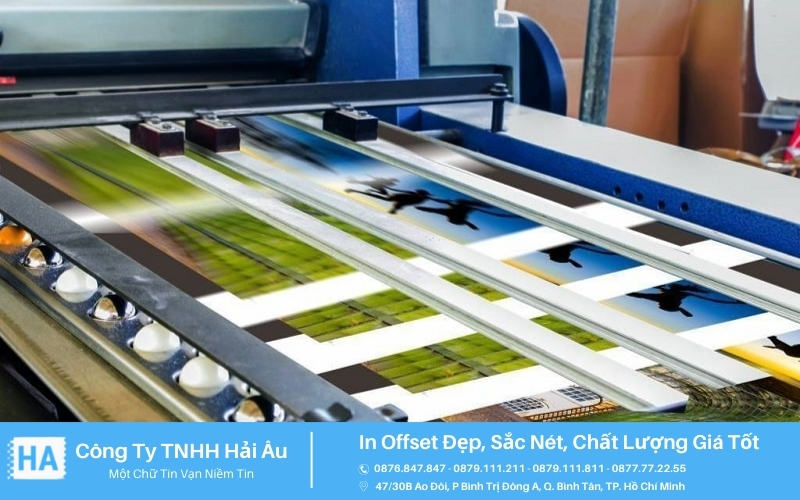 in offset giá tốt